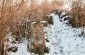 Restos del cementerio judío de Ivanov, anteriormente Ianov. © Aleksey Kasyanov/Yahad-In Unum